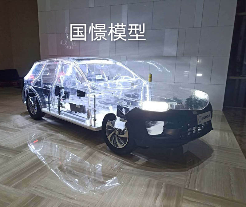 邵阳县透明车模型